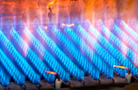 Cwm Irfon gas fired boilers